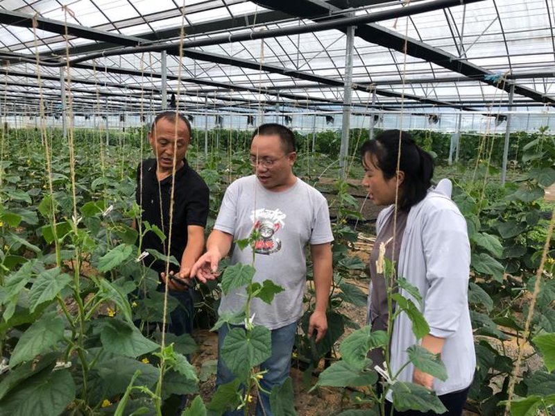 农业技术开发引领现代农业新风尚