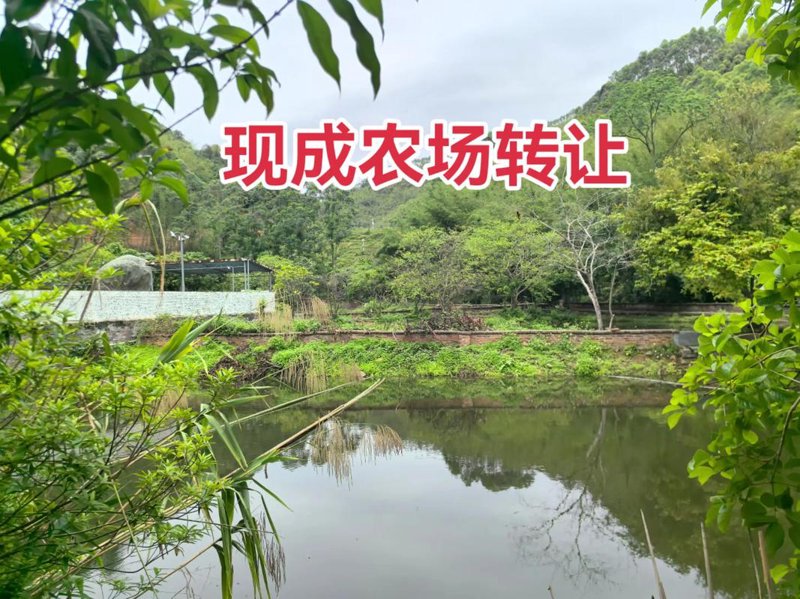 智慧农业